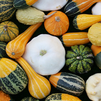 titre du fruit du mois