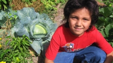 Aux Etats-Unis, le fast-food Chipolte sensibilise les écoliers au jardinage
