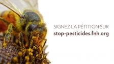 La Fondation Nicolas Hulot alerte sur la dangerosité des pesticides néonicotinoïdes