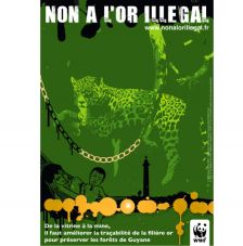WWF lance sa campagne \"Non à l’or illégal\" pour la Saint-Valentin