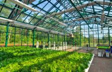 Un hôpital américain se dote d\'un vrai jardin potager bio